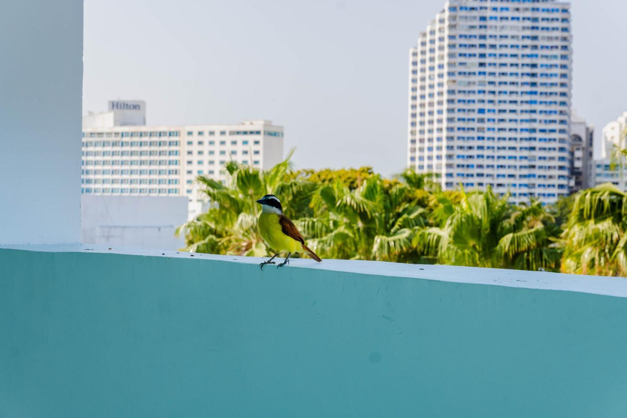 Hotel Coral Reef Cartagena Eksteriør bilde